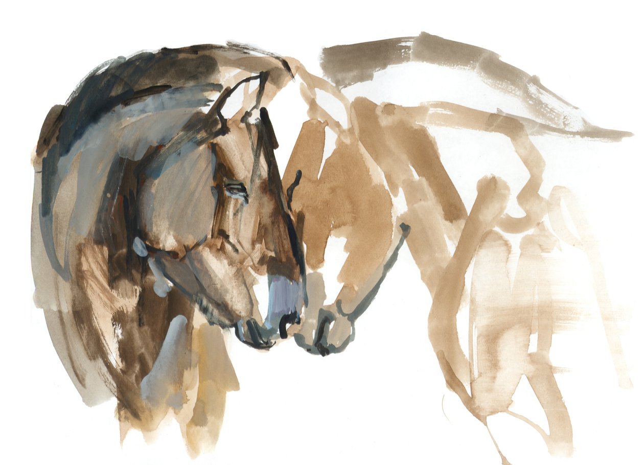 Neus aan neus (Przewalski), 2013 door Mark Adlington