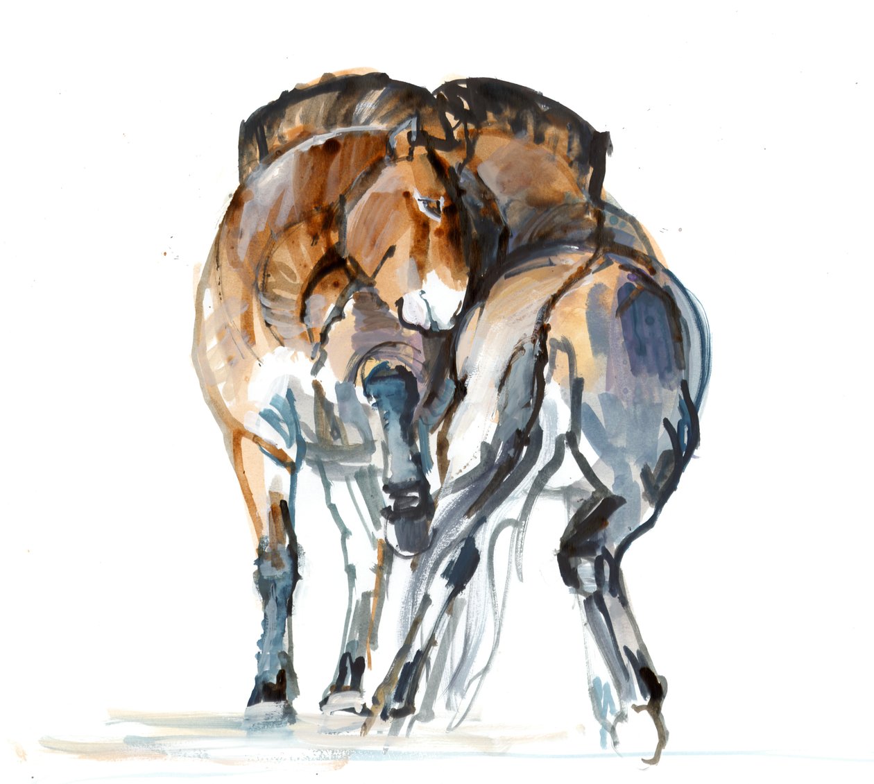 Krachtdans (Przewalski), 2013 door Mark Adlington