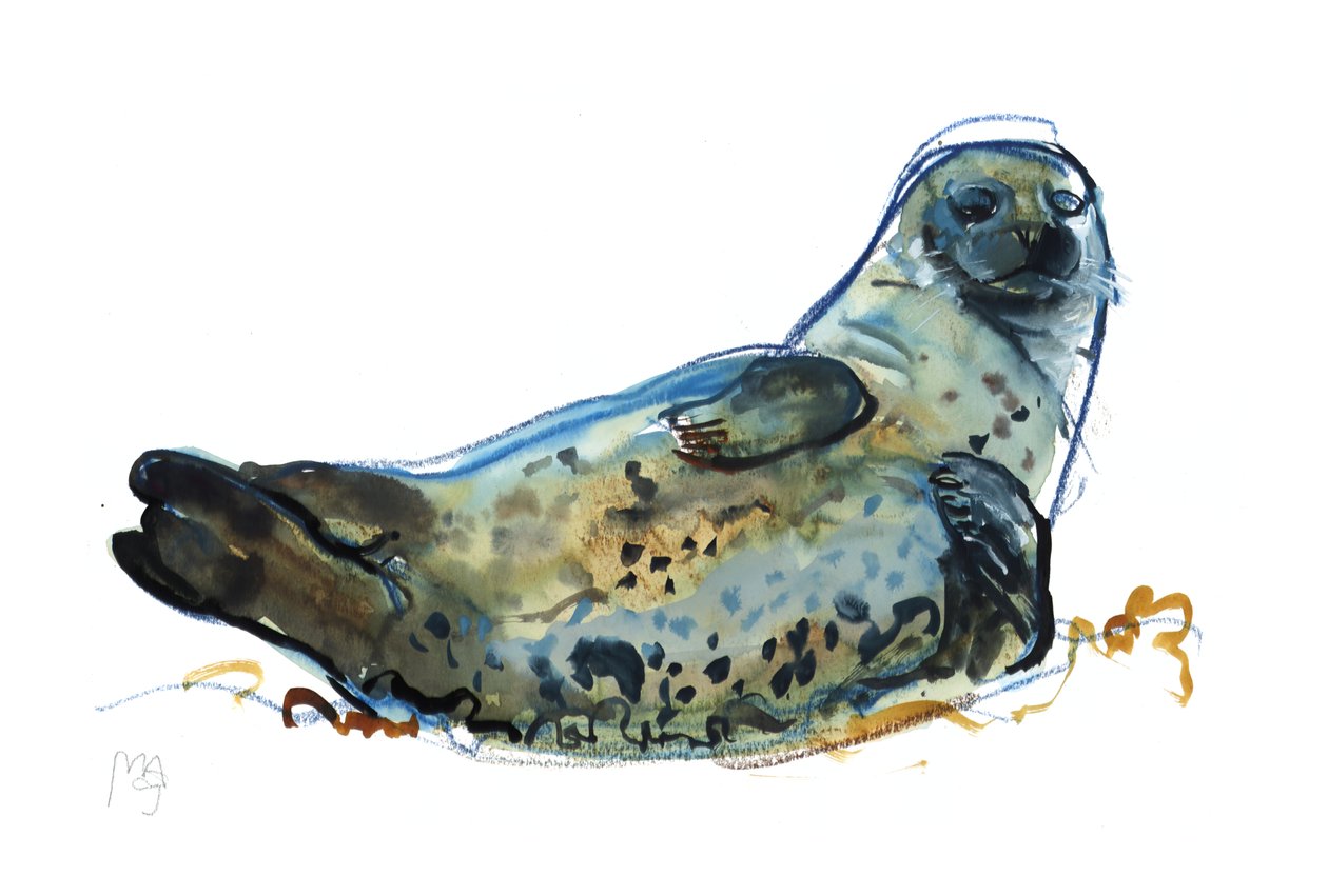 Westcove zeehond door Mark Adlington
