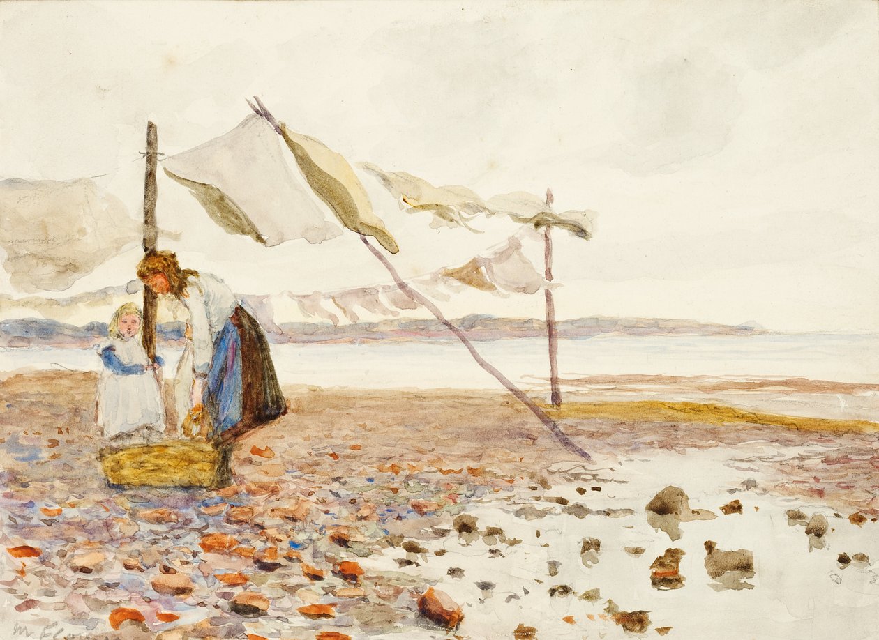 De kust door Marmaduke C. William Flower