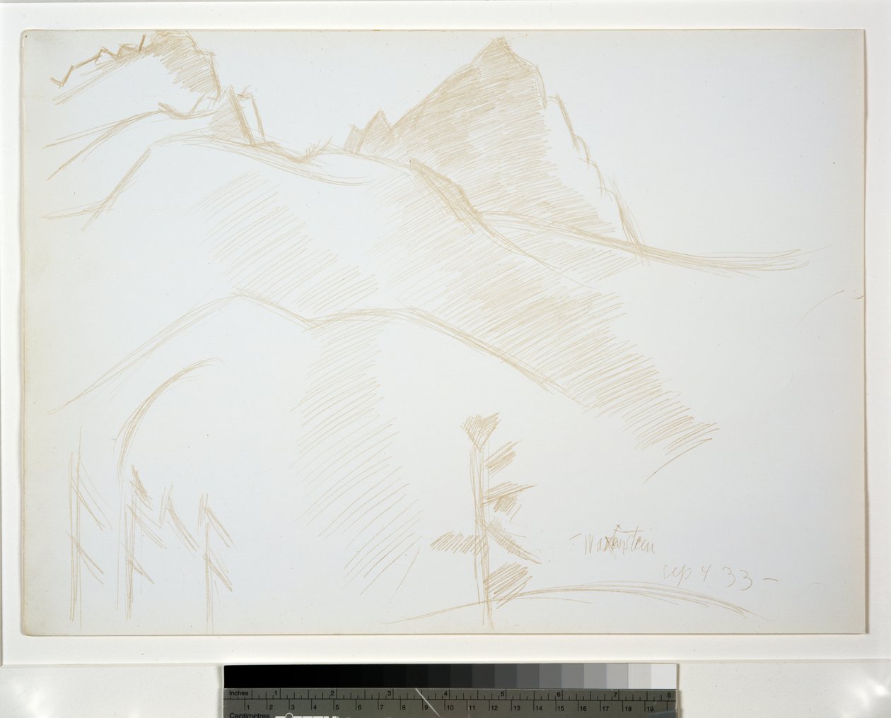 Berglandschap met Pijnbomen door Marsden Hartley