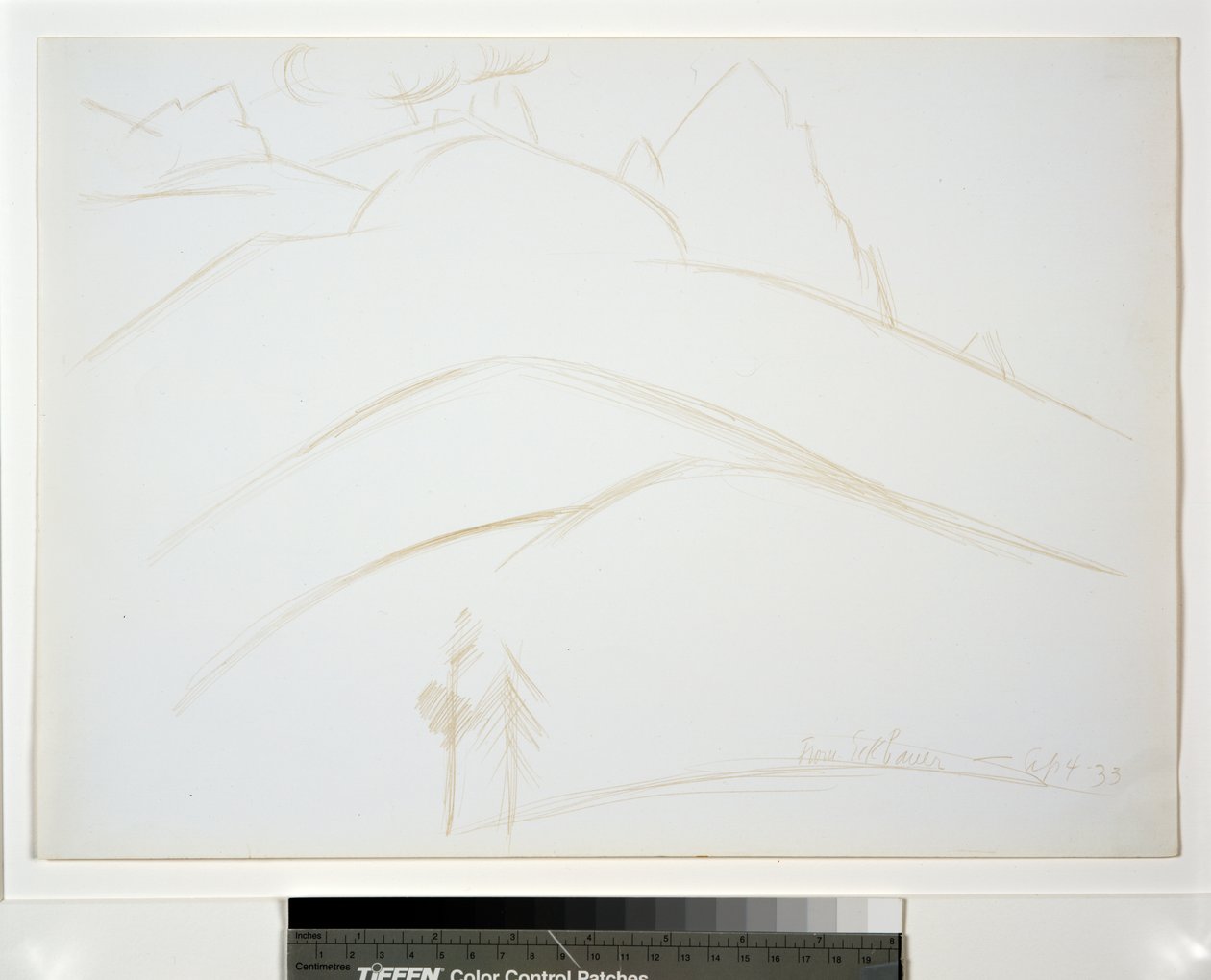 Berglandschap met twee dennenbomen door Marsden Hartley