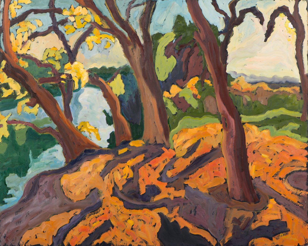 Verouderende bomen, 2009 door Marta Martonfi Benke