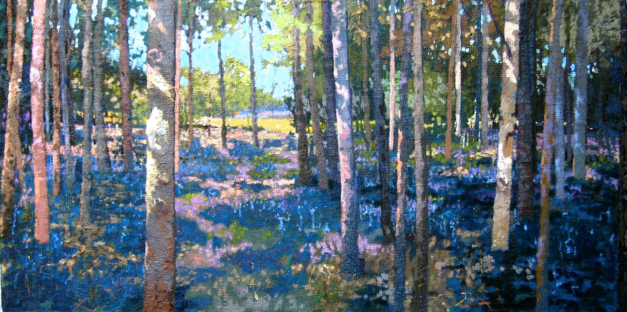 Bluebell Bos, 2009 door Martin Decent