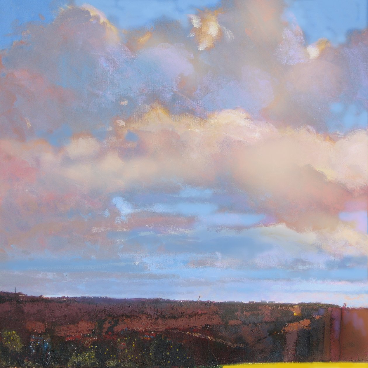 Kinder Scout, 2015 door Martin Decent