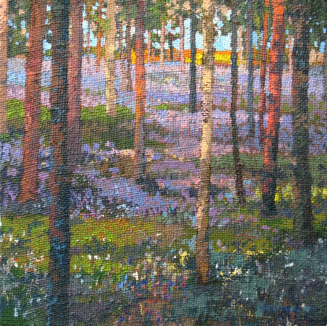 Laat Blauwe Klokjesbos, 2014 door Martin Decent