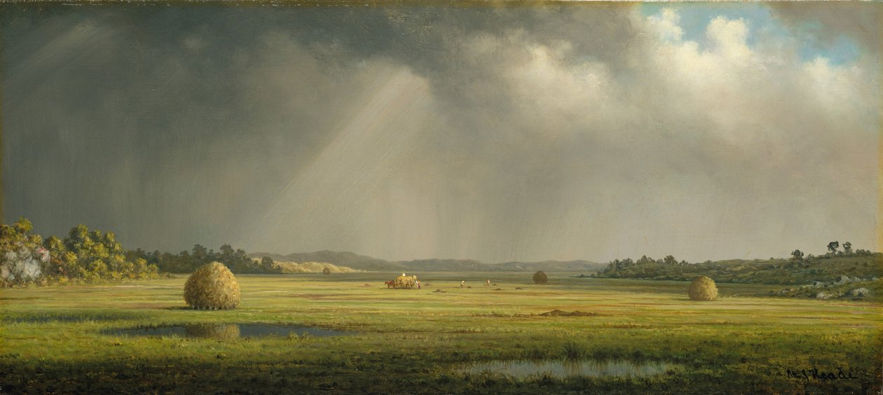 Newburyport Weiden, c.1876-81 door Martin Johnson Heade