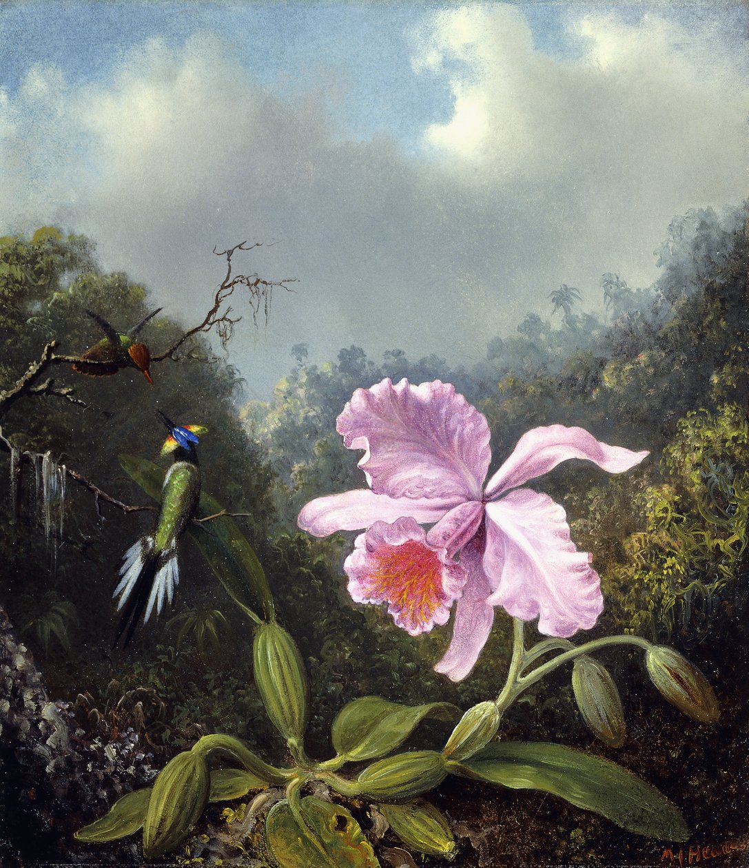 Stilleven met orchidee en paar kolibries, ca. 1890s door Martin Johnson Heade