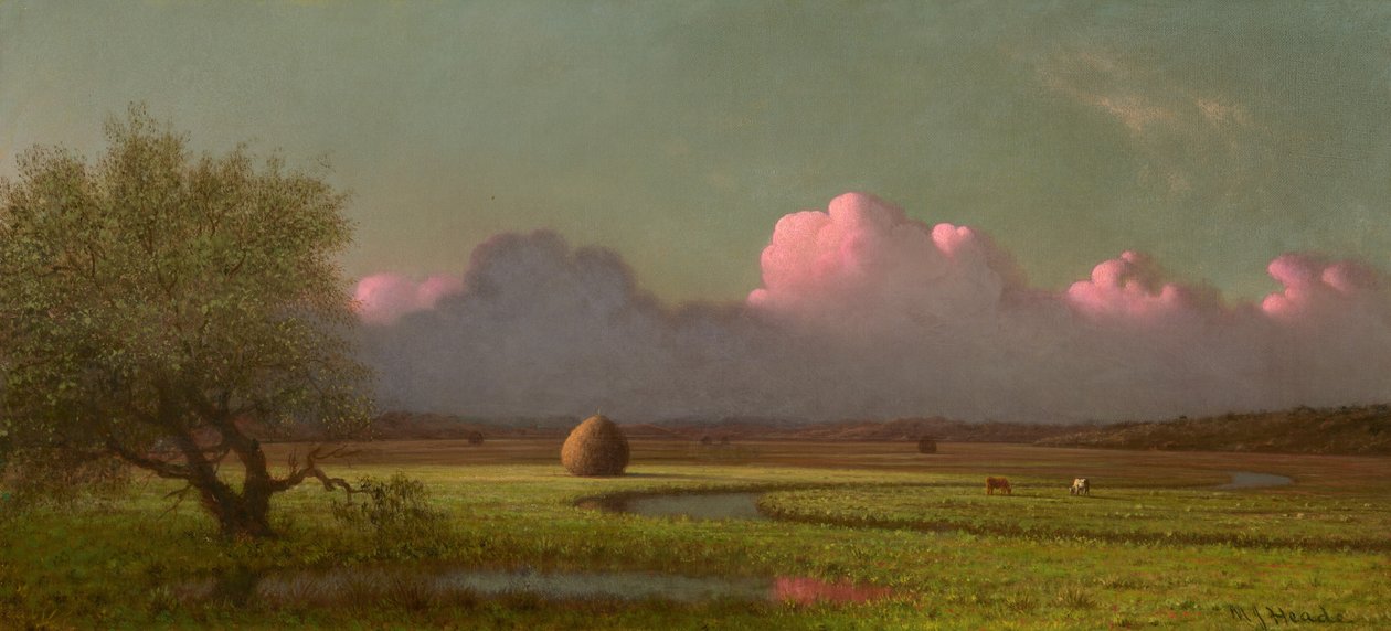 Zonlicht en schaduw: de moerassen van Newbury door Martin Johnson Heade