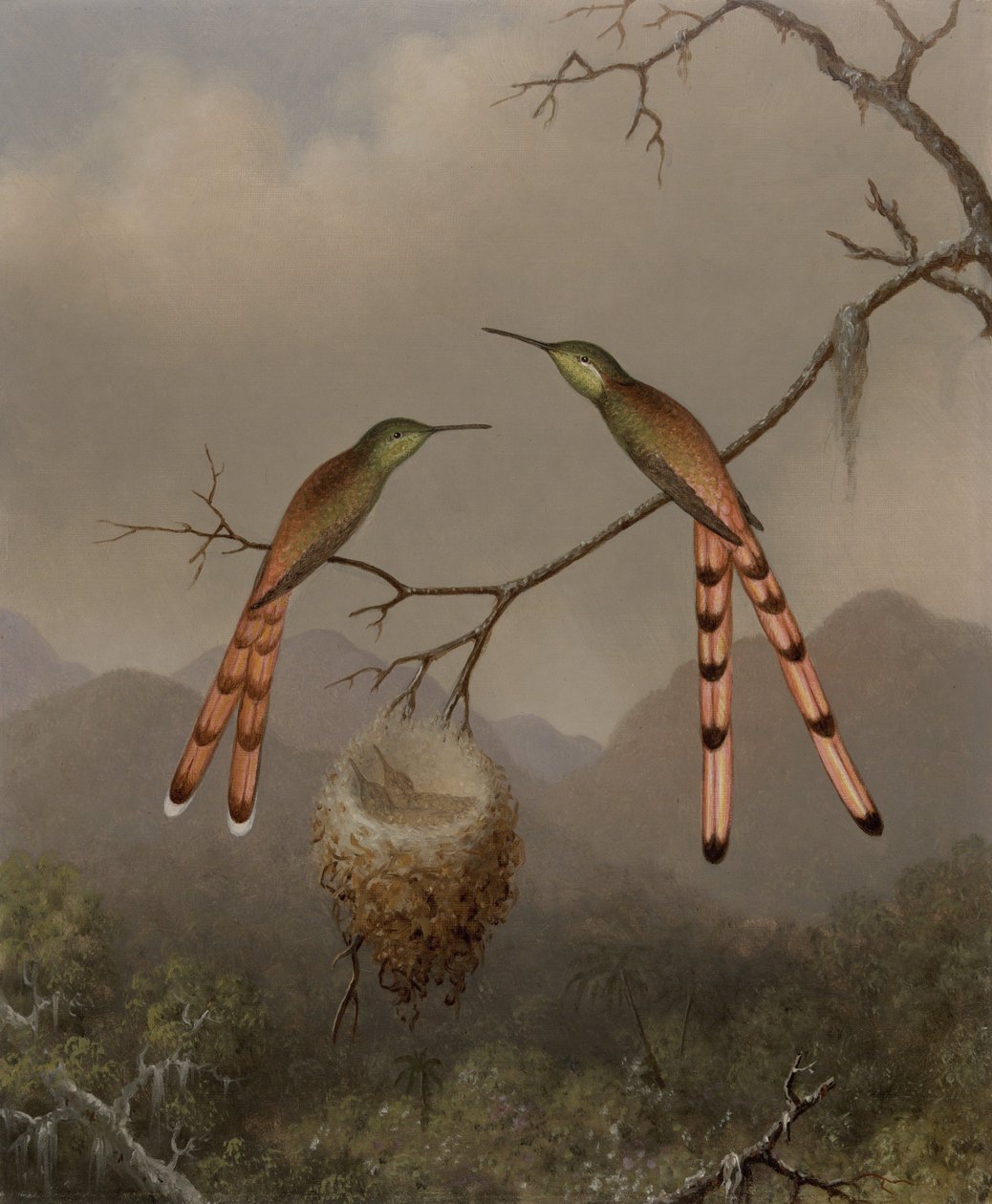 Twee kolibries met hun jongen door Martin Johnson Heade