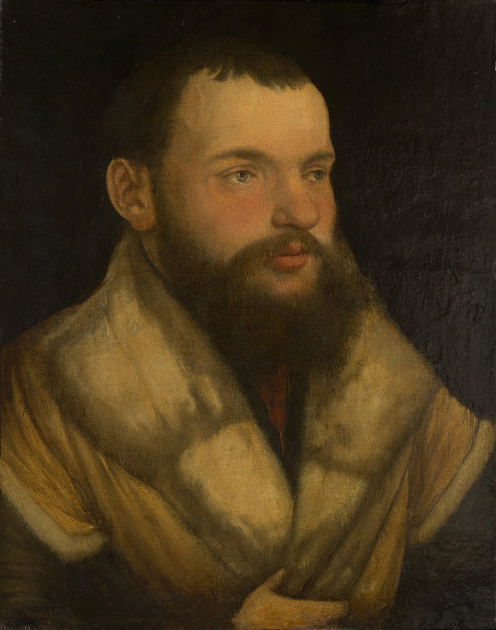 Portret van een Man, 1520-30 door Martin Schaffner