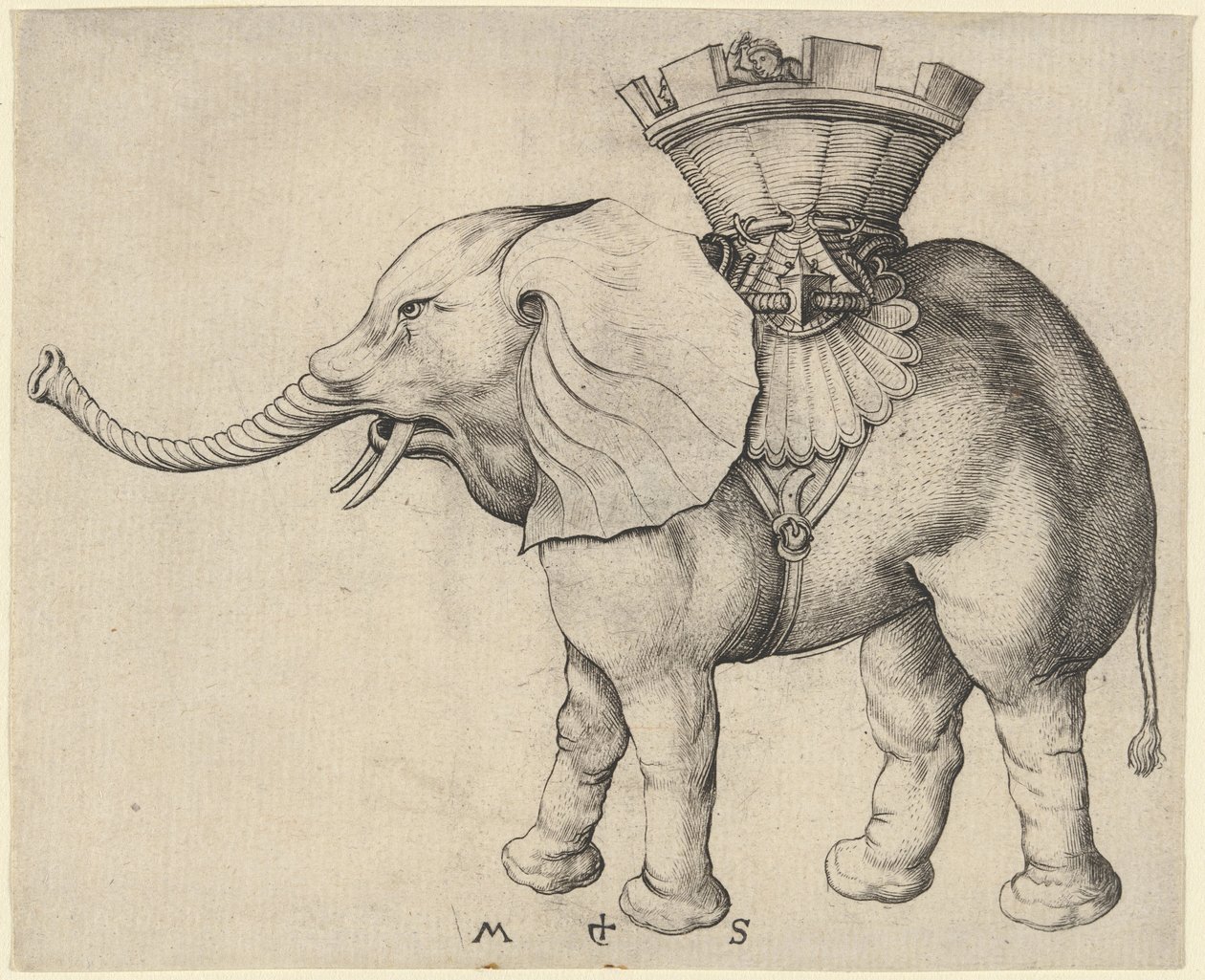 Olifant door Martin Schongauer