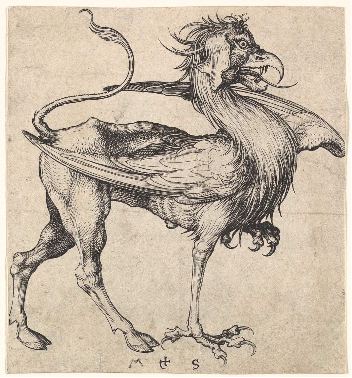 Griffioen door Martin Schongauer