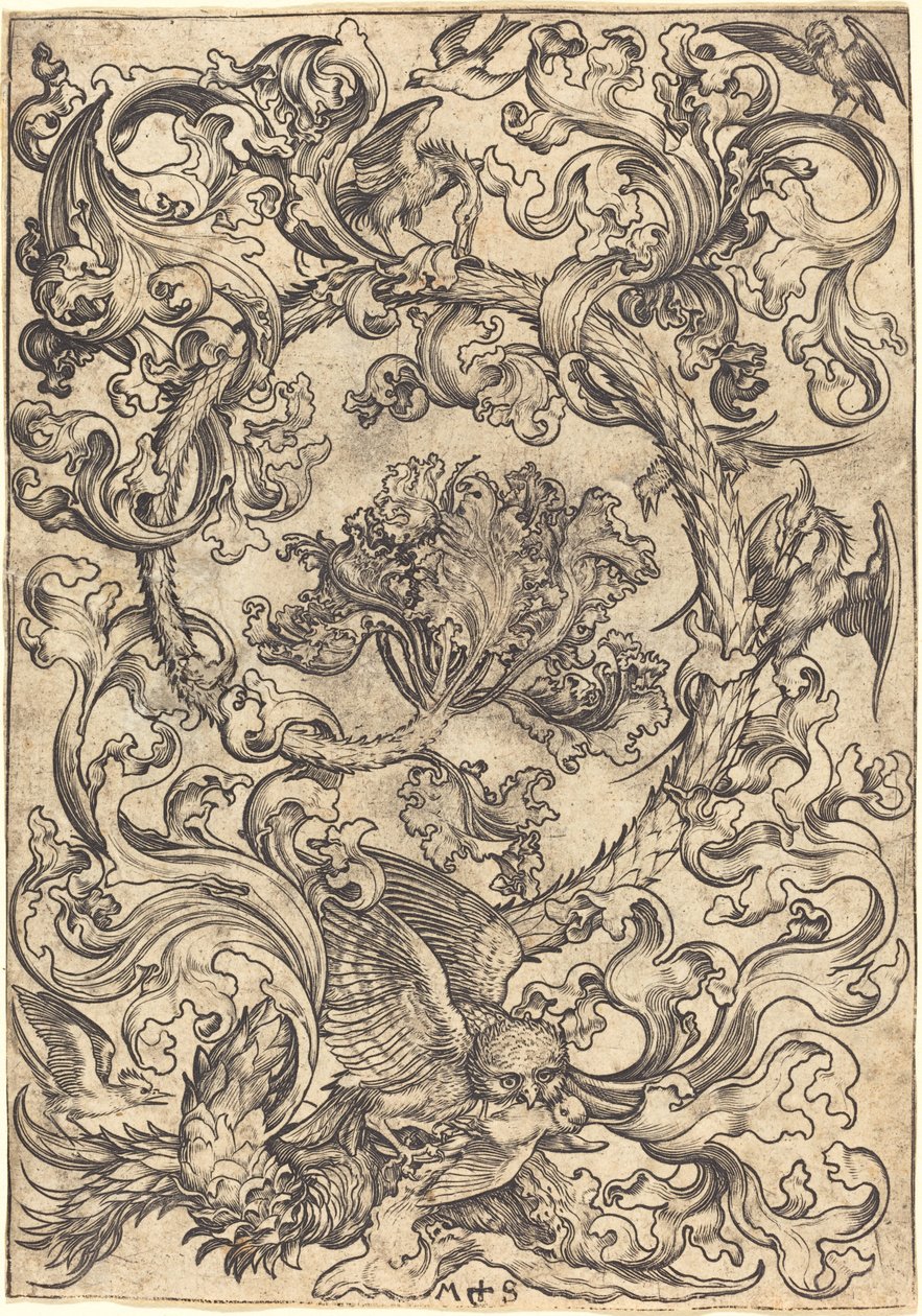 Ornament met Uil Bespot door Dagvogels door Martin Schongauer