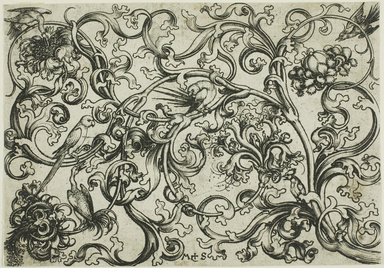 Ornament van wijnranken met papegaaien en vogels door Martin Schongauer