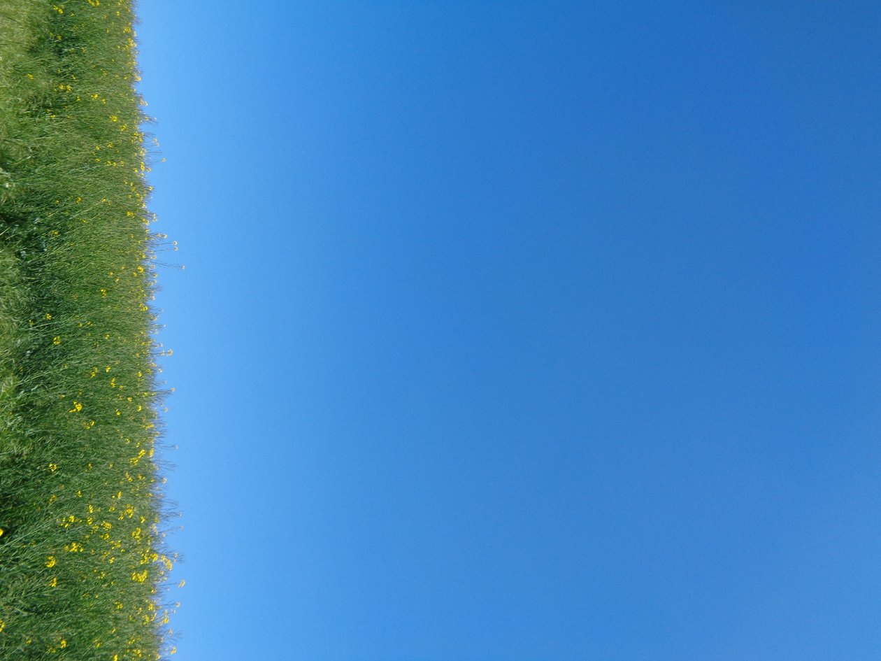 Blauw door Martina Konitzky
