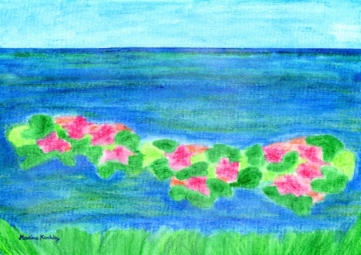 Waterlelies door Martina Konitzky