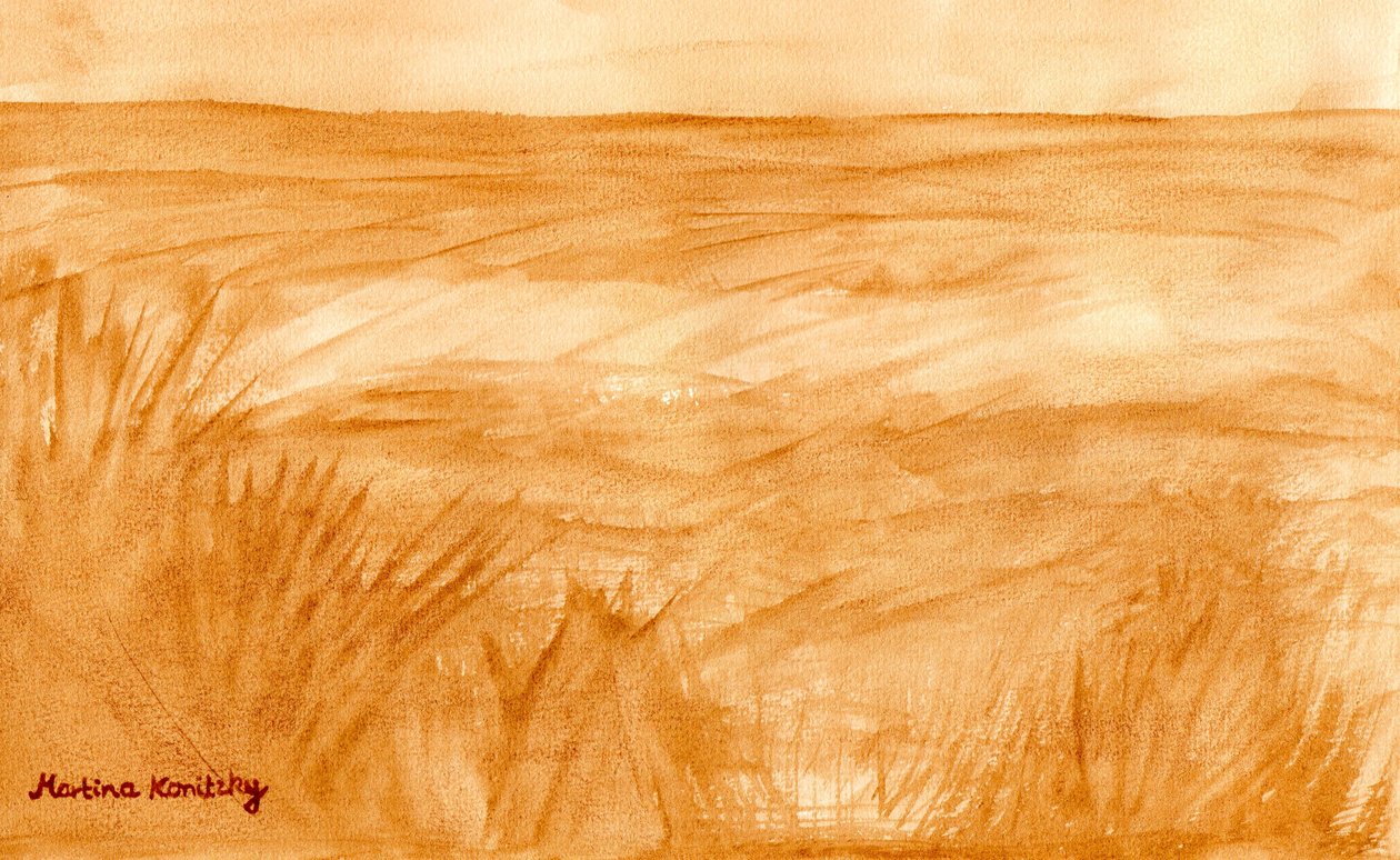 Zomerlanden door Martina Konitzky