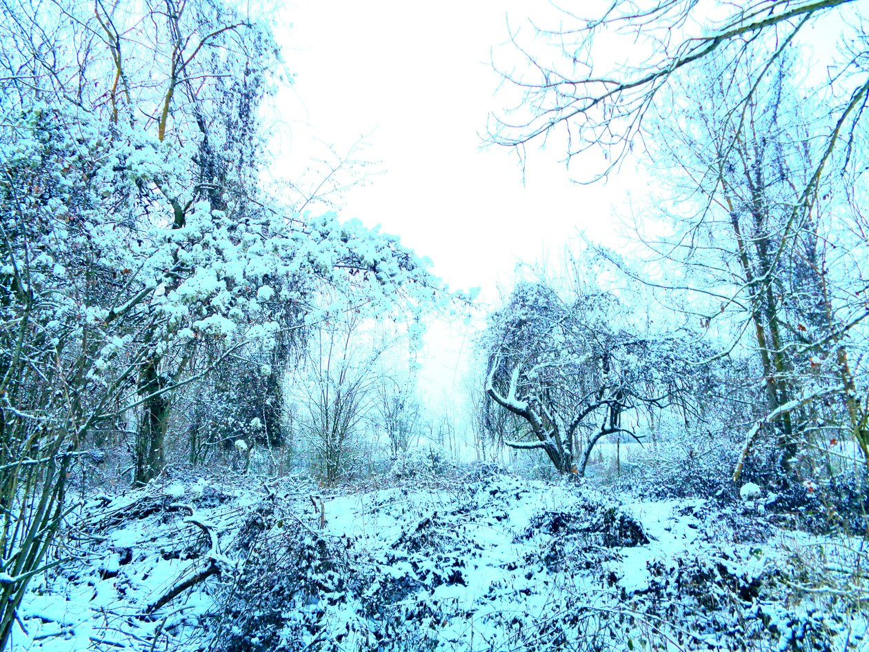 Winter Blauw door Martina Konitzky