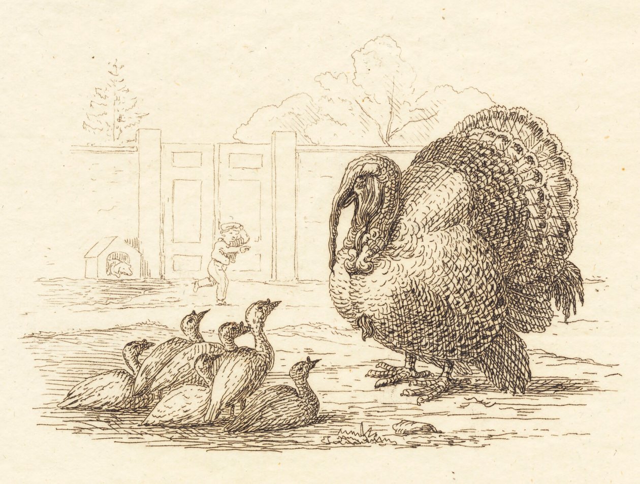 Illustratie voor "Halvhundrede Fabler for Børn" van Hey door Martinus Rørbye