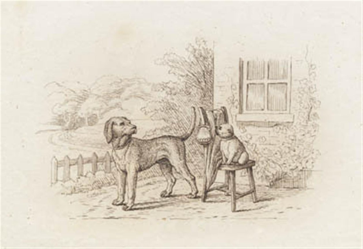 Illustratie voor 