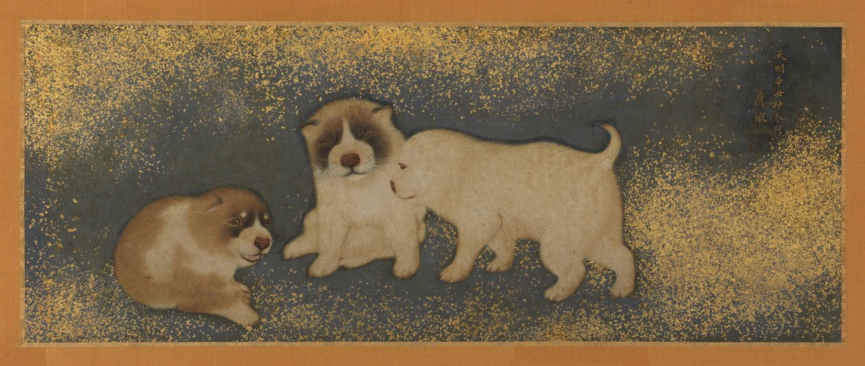 Puppy