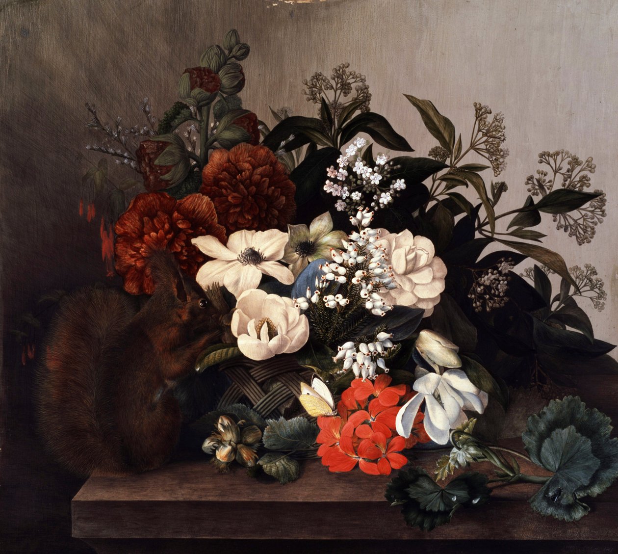 Stilleven met eekhoorn en geraniums. Schilderij van Mary Lawrence (geboren in de 18e eeuw) Privécollectie. door Mary Lawrence