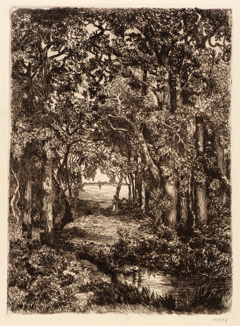 De zee door het bos door Mary Nimmo Moran
