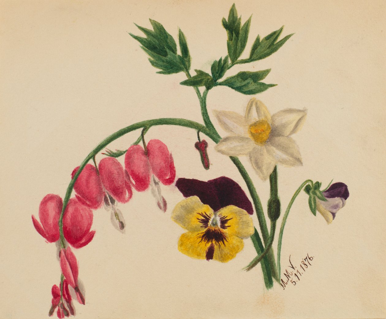(Zonder titel - Gemengde bloemen) door Mary Vaux Walcott