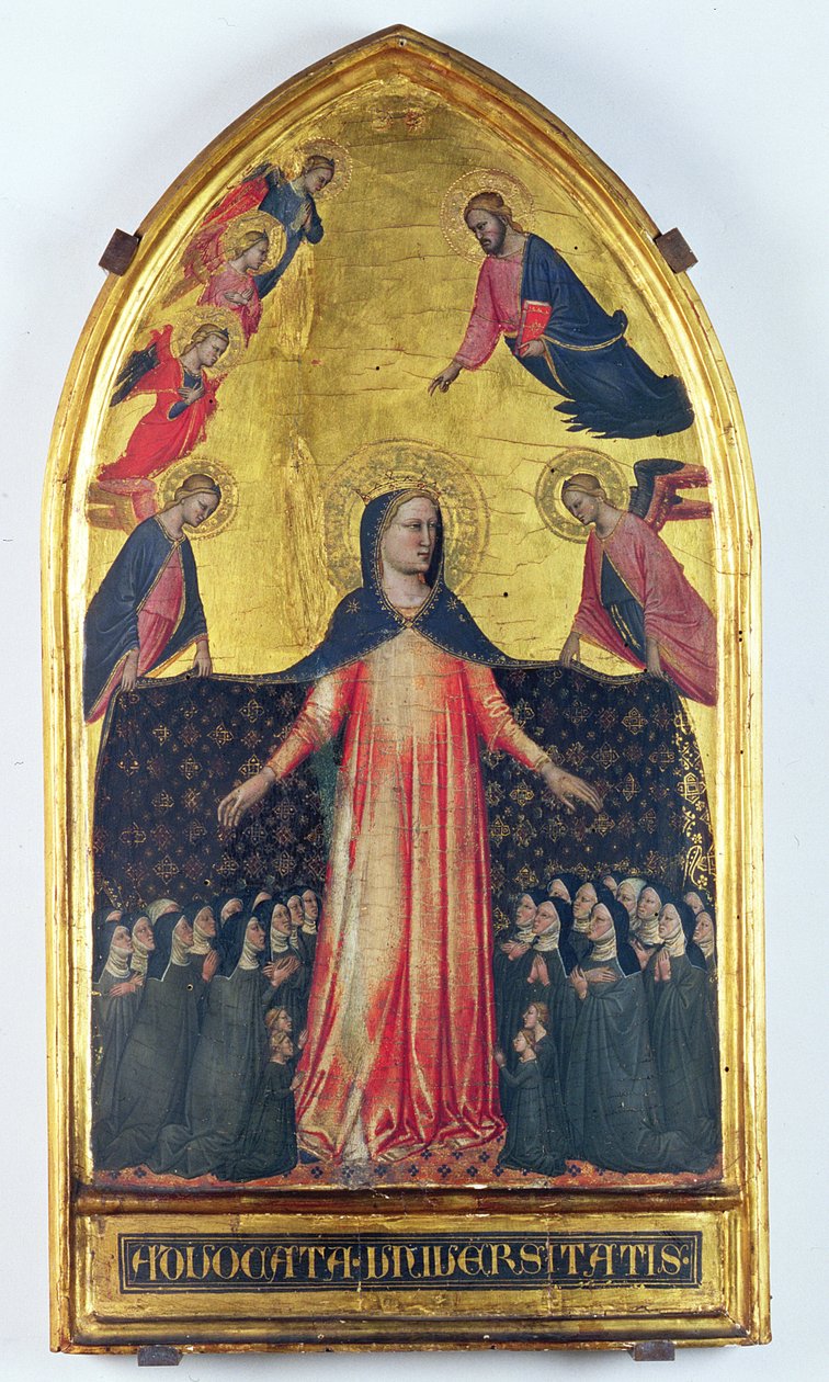 Madonna della Misericordia door Master of the Accademia Madonna