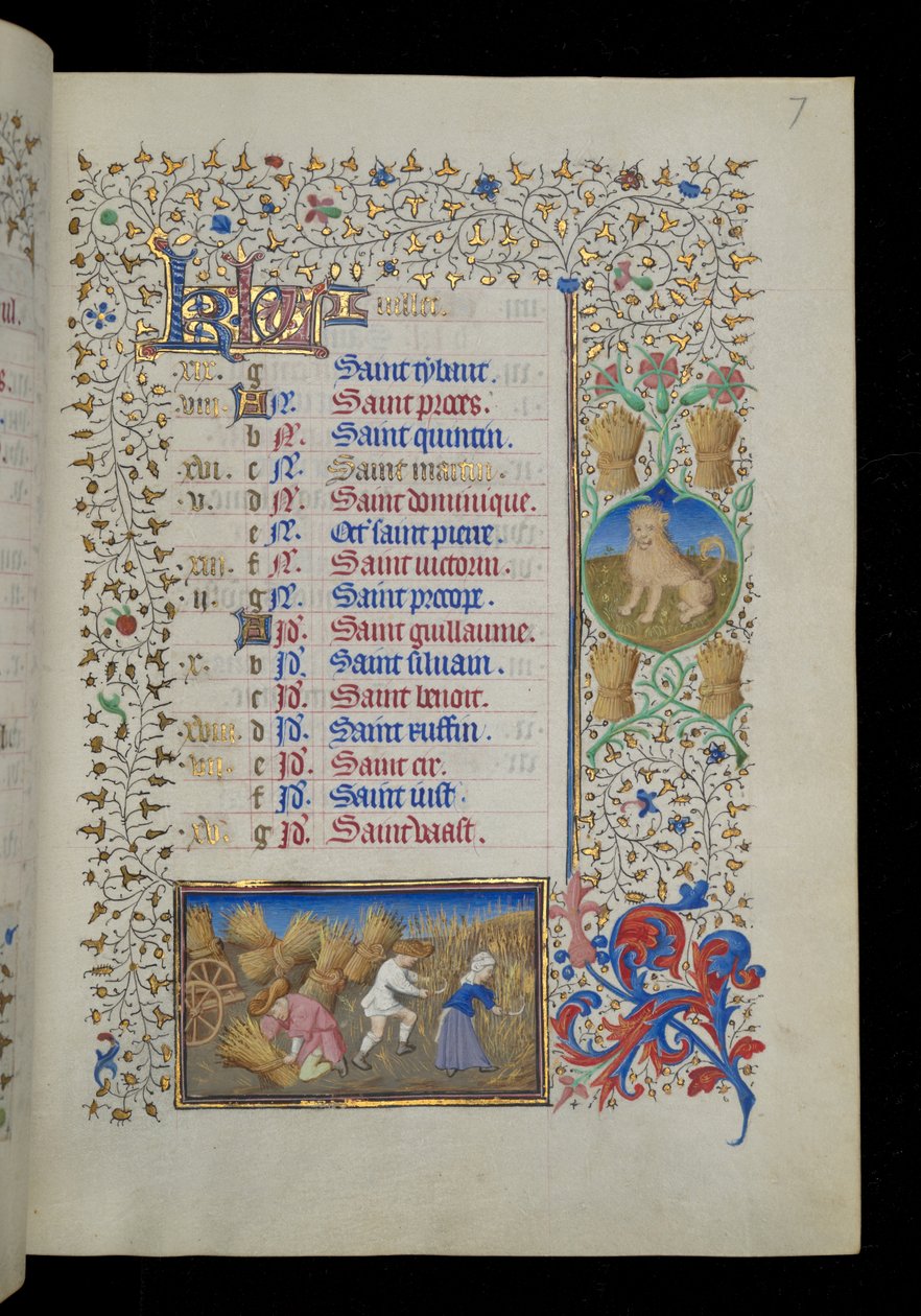 Arbeid van de maand - juli door Master Dunois