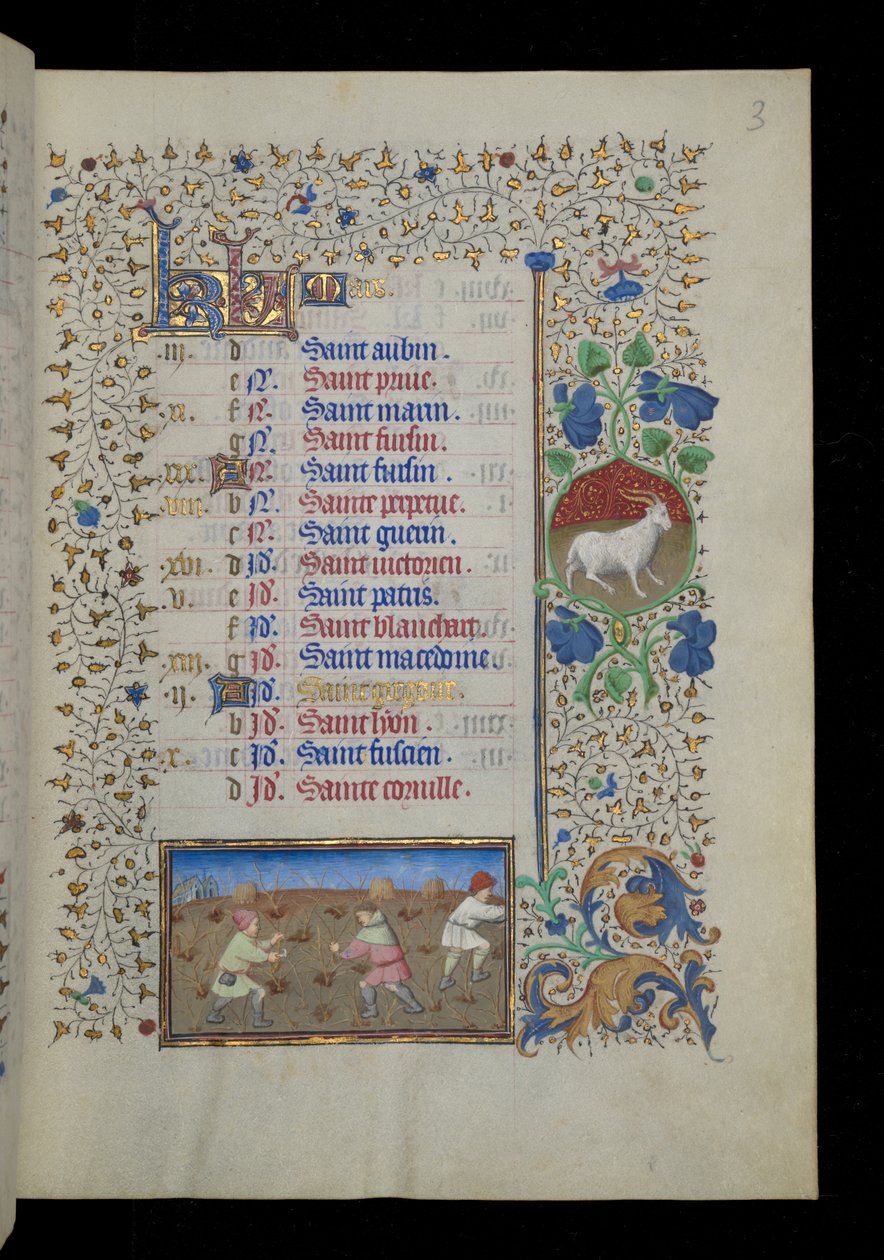 Arbeid van de maand - maart door Master Dunois