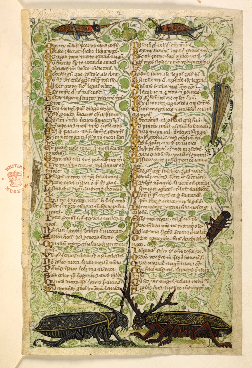 Add. 28841, f.2: Gehoornde kevers, krekels en een sprinkhaan. Verhandeling over de Deugden en Ondeugden, en een anonieme prozageschiedenis van Sicilië (fragment) door Master of the Cocharelli Codex