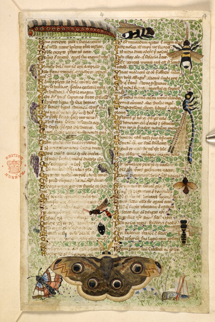 Wespen, motten, libellen en een rups, uit een Verhandeling over de Deugden en Ondeugden, en een anonieme prozageschiedenis van Sicilië door Master of the Cocharelli Codex