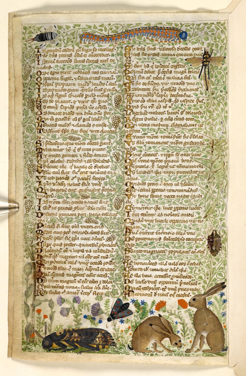 Konijnen en insecten, uit een Verhandeling over de Deugden en Ondeugden, en een anonieme prozageschiedenis van Sicilië door Master of the Cocharelli Codex