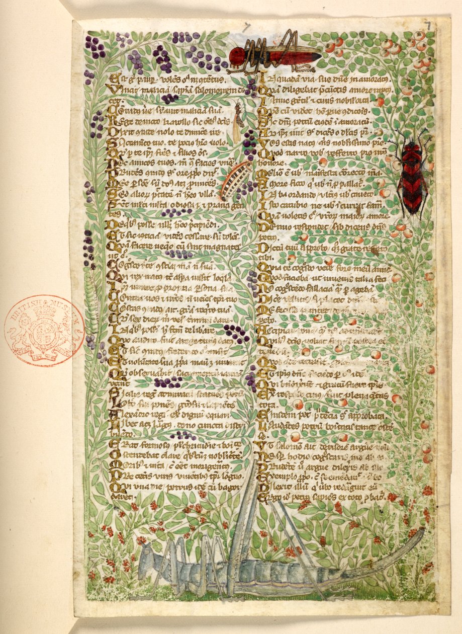Bloemen, fruit en insecten, waaronder een sprinkhaan en een sprinkhaan, uit een Verhandeling over de Deugden en Ondeugden, en een anonieme prozageschiedenis van Sicilië (fragment) door Master of the Cocharelli Codex