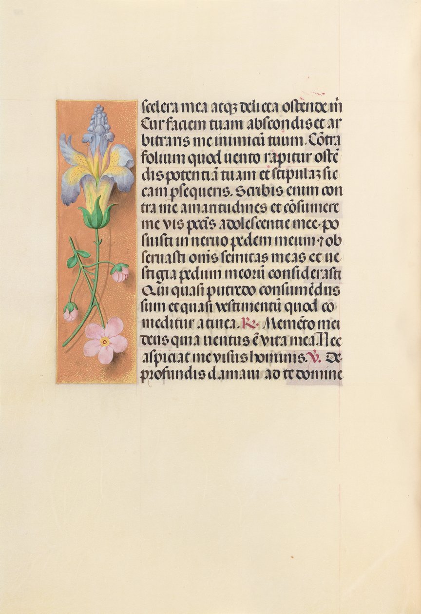 Uren van koningin Isabella de Katholieke, koningin van Spanje: Fol. 237v, ca. 1500 door Master of the First Prayerbook of Maximillian