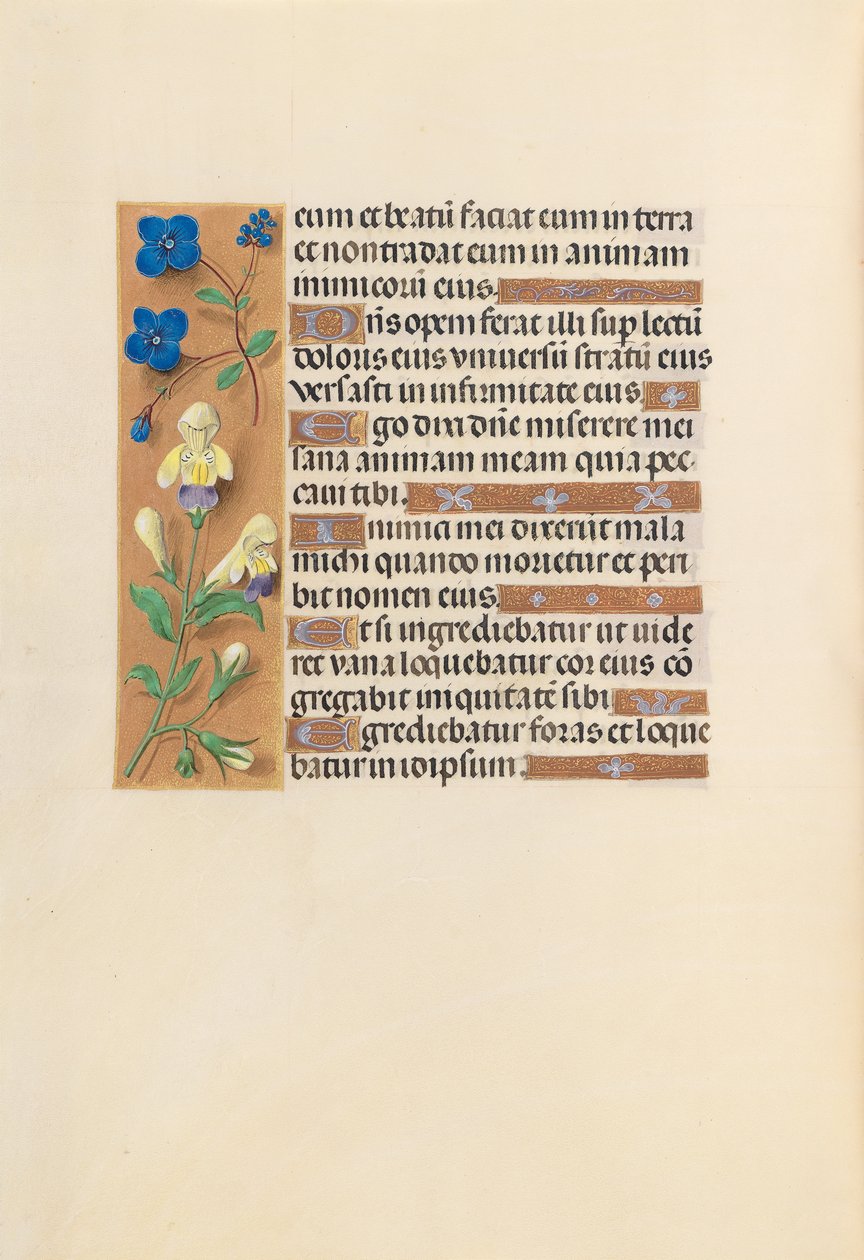 Getijdenboek van Koningin Isabella de Katholieke, Koningin van Spanje: Fol. 241v, ca. 1500 door Master of the First Prayerbook of Maximillian