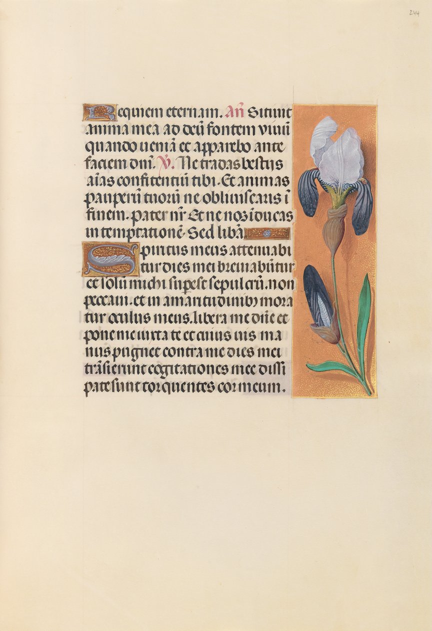Getijdenboek van koningin Isabella de Katholieke, koningin van Spanje: Fol. 244r door Master of the First Prayerbook of Maximillian