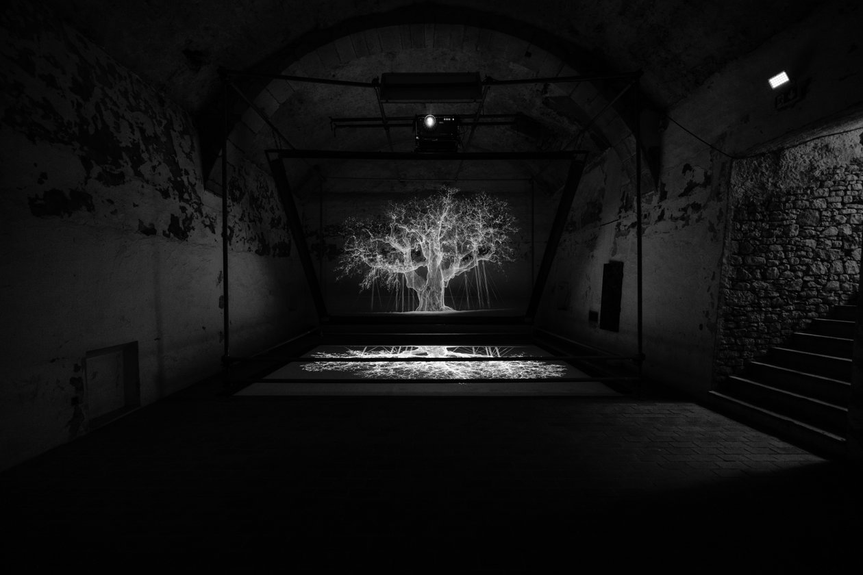 Albion, 2017 (Projector, mediaspeler, steiger, transparante film, hout, verf, spiegel, spanaccessoires) door Mat Collishaw
