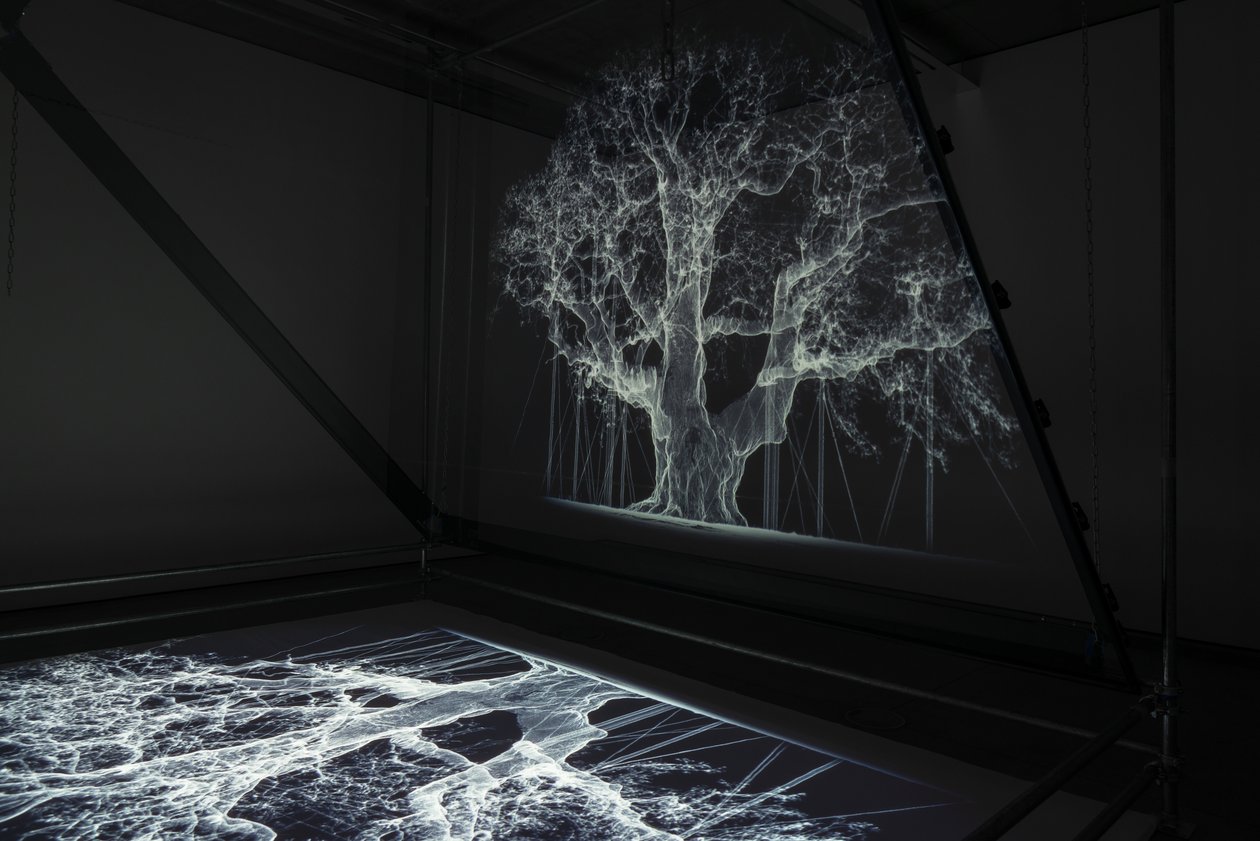Albion, 2017 (Projector, mediaspeler, steiger, transparante film, hout, verf, spiegel, spanaccessoires) door Mat Collishaw