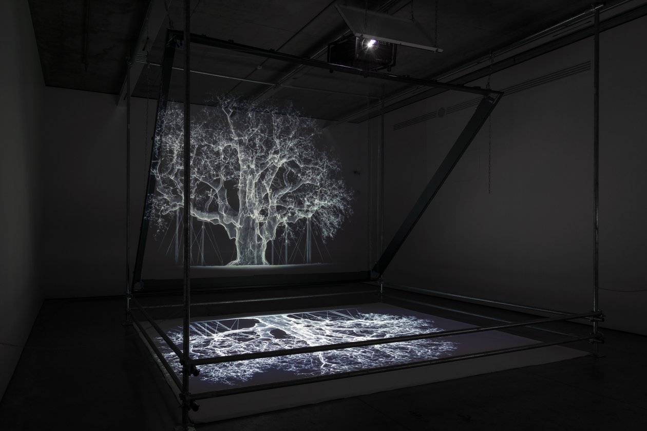 Albion, 2017 (Projector, mediaspeler, steiger, transparante film, hout, verf, spiegel, spanaccessoires) door Mat Collishaw