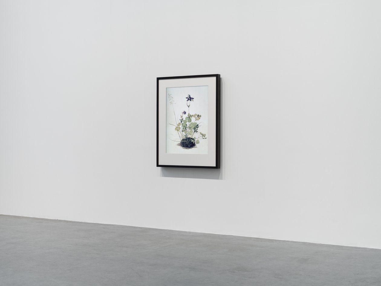 Columbine, 2018 (Houten frame, rand, LCD-scherm, ventilator en mediaspeler) door Mat Collishaw