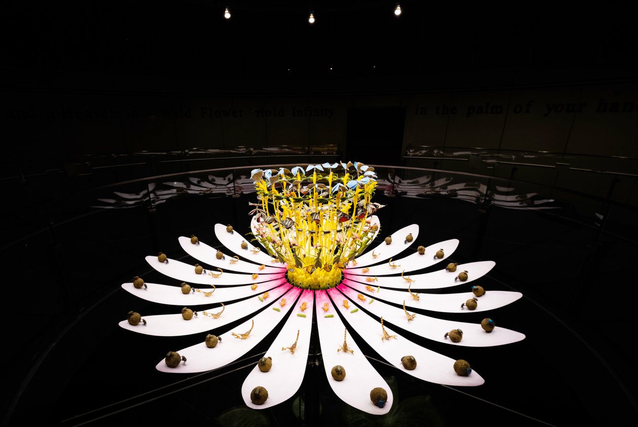 Equinox, 2021 (acryl, elektrische schakeling, hydraulica, lak, motor, verf, gerecycled hars, staal) door Mat Collishaw