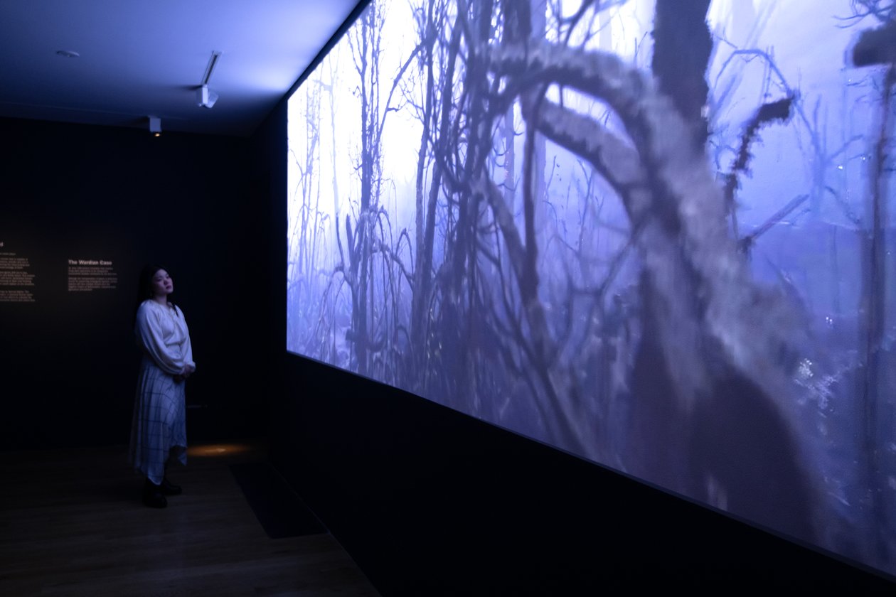 Even to the End, op de tentoonstelling 