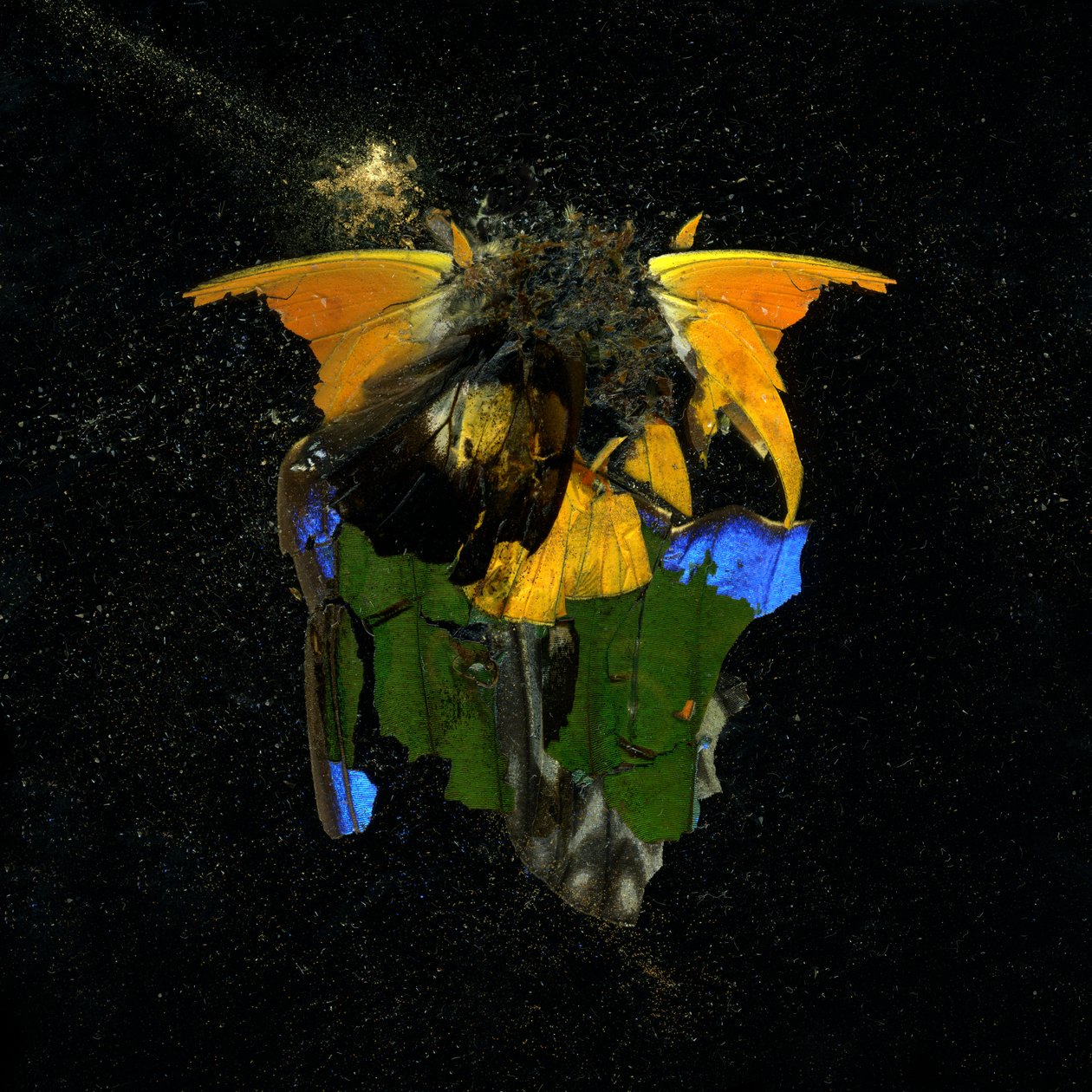 Insecticide 14, 2009 (C-type foto) door Mat Collishaw