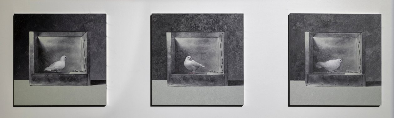 Operant Conditioning Kamer 3, 2022 (Olieverf op aluminium paneel) door Mat Collishaw
