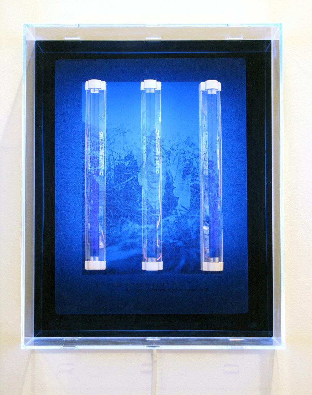 UV Garden, Fairy, Sunbath, Elves, Etc., 2008 (zeefdruk op acryl, UV-licht en lichtarmaturen) door Mat Collishaw