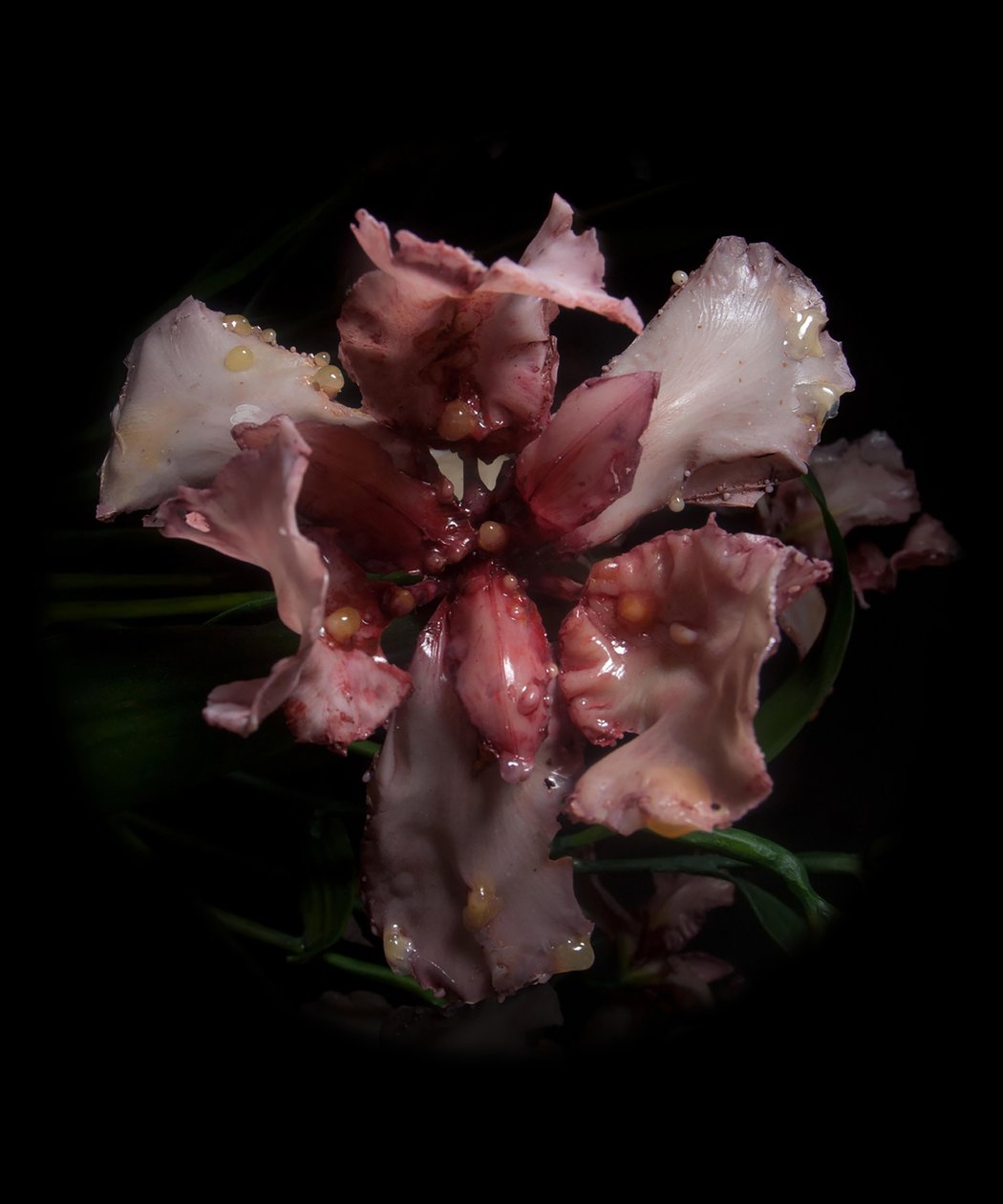 Venale Muze, Viridor, 2012 (Hars, emailverf, hout, glas, staal) door Mat Collishaw