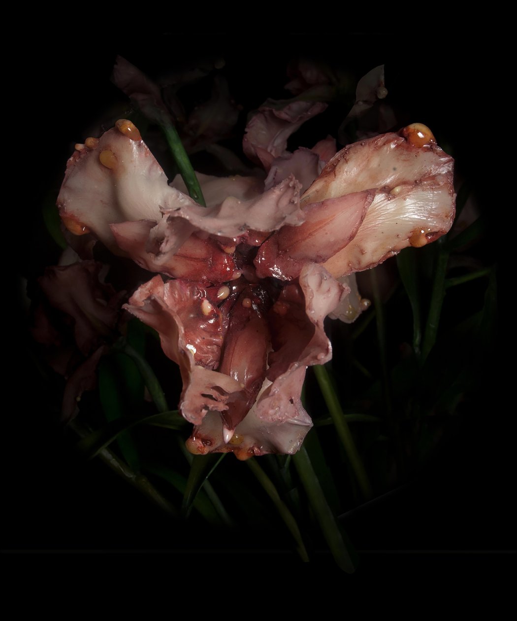 Venale Muze, Viridor, 2012 (Hars, emailverf, hout, glas, staal) door Mat Collishaw